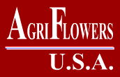 2017年美国世界花卉博览会